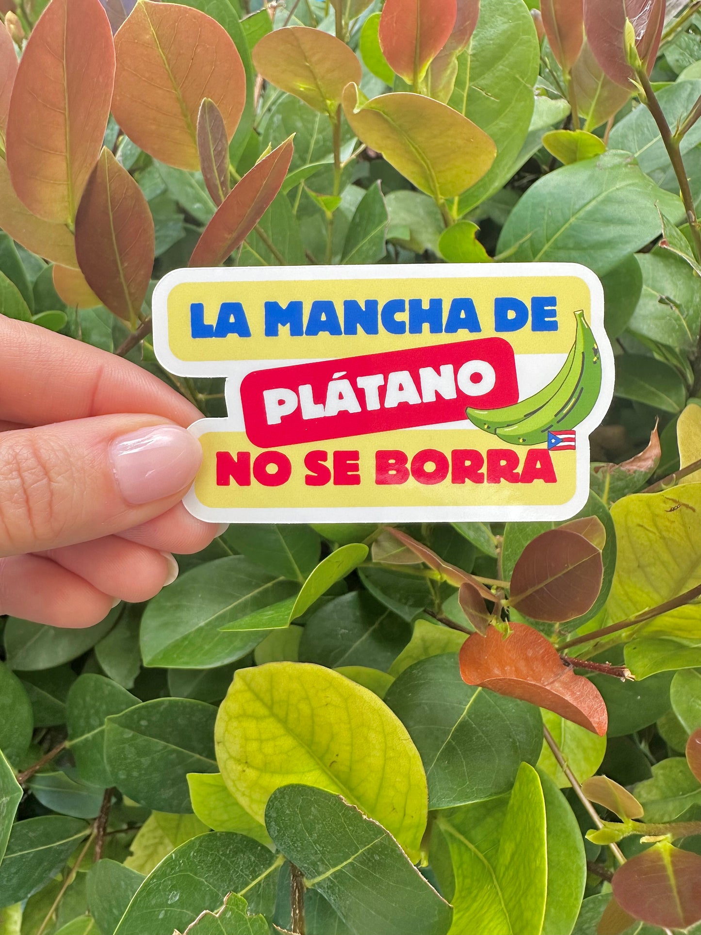 Mancha de Plátano Sticker | Puerto Rico Boricua Pride | Laptop Water Bottle Decal