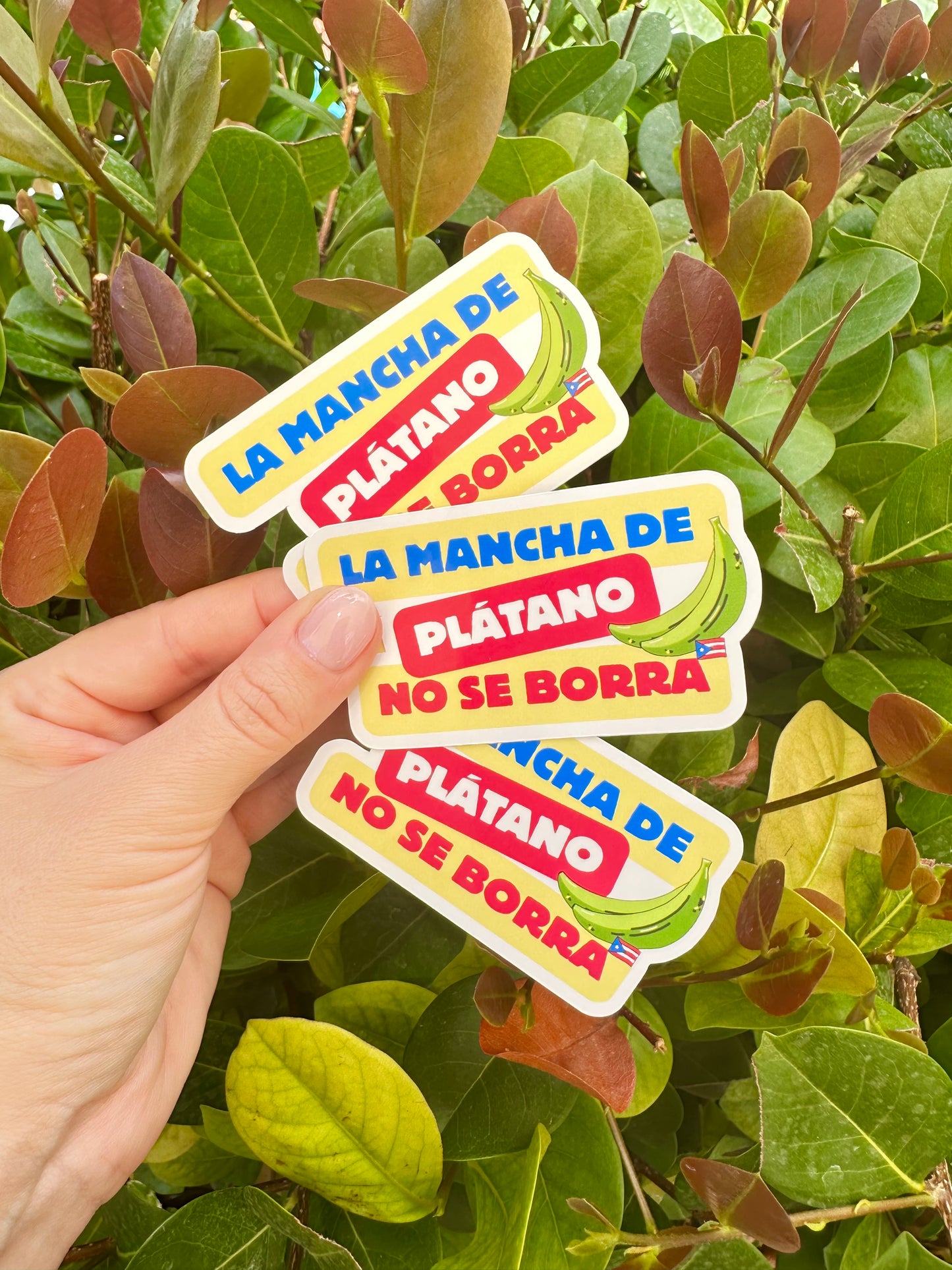 Mancha de Plátano Sticker | Puerto Rico Boricua Pride | Laptop Water Bottle Decal