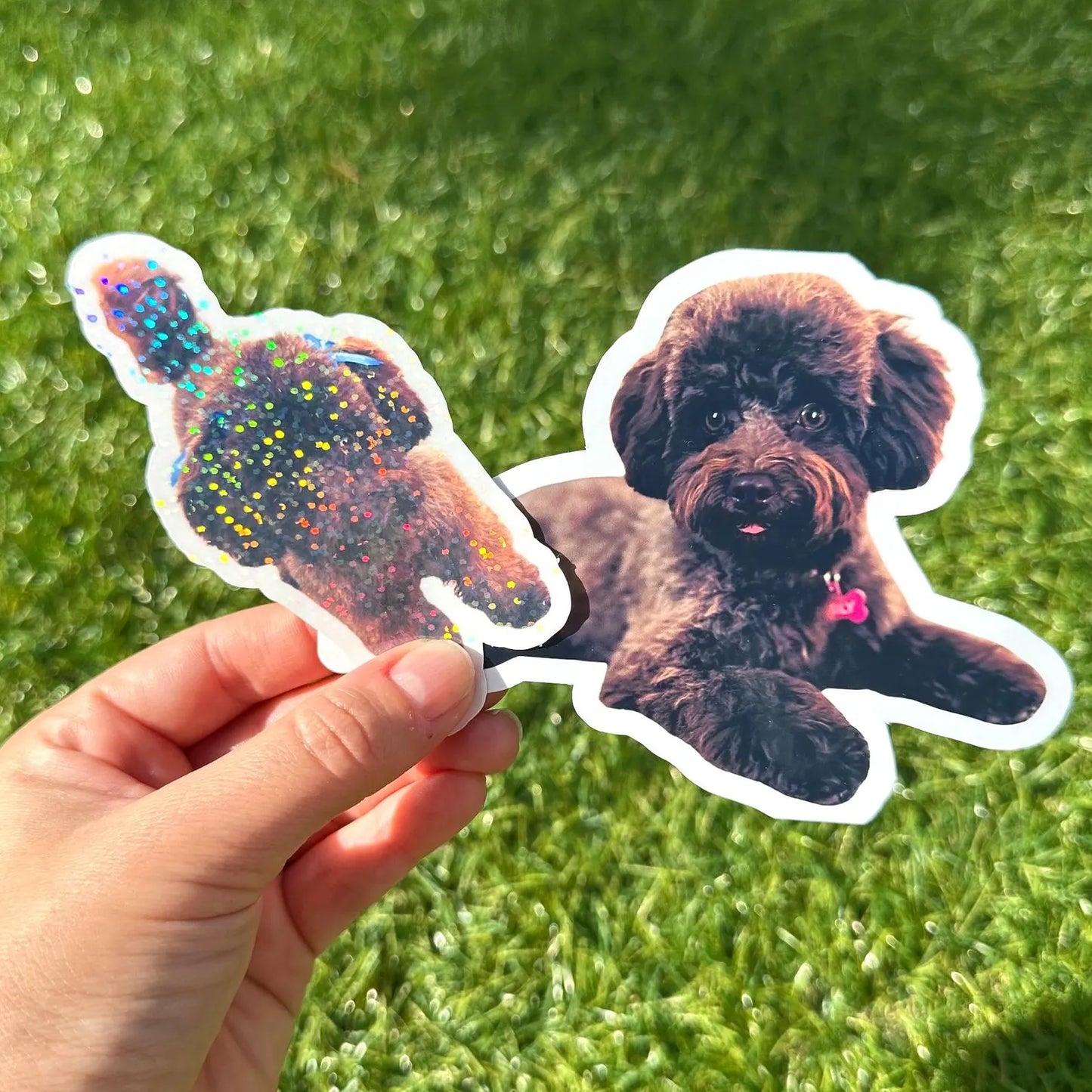Custom Pet Photo Sticker | Personalized Animal Vinyl Decal for Laptop & Water Bottle
