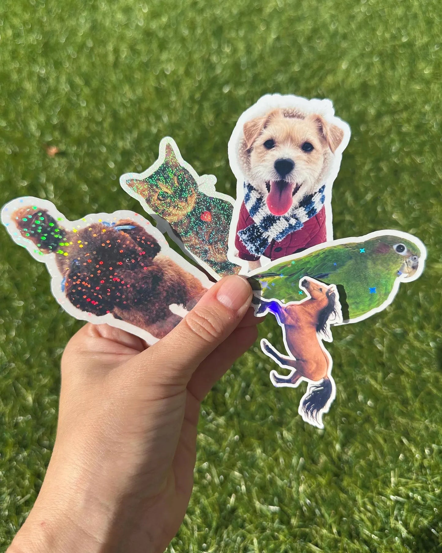 Custom Pet Photo Sticker | Personalized Animal Vinyl Decal for Laptop & Water Bottle