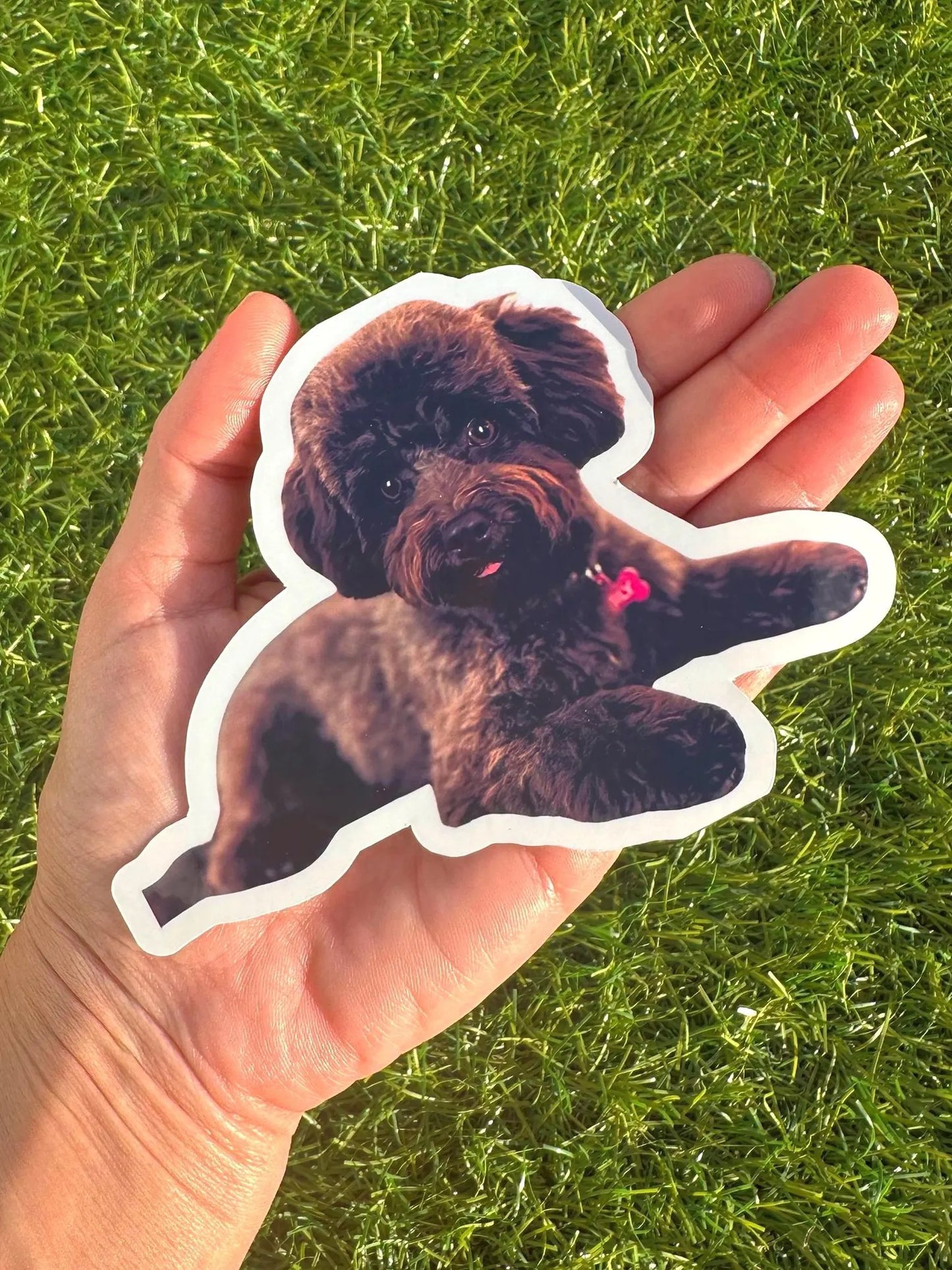 Custom Pet Photo Sticker | Personalized Animal Vinyl Decal for Laptop & Water Bottle
