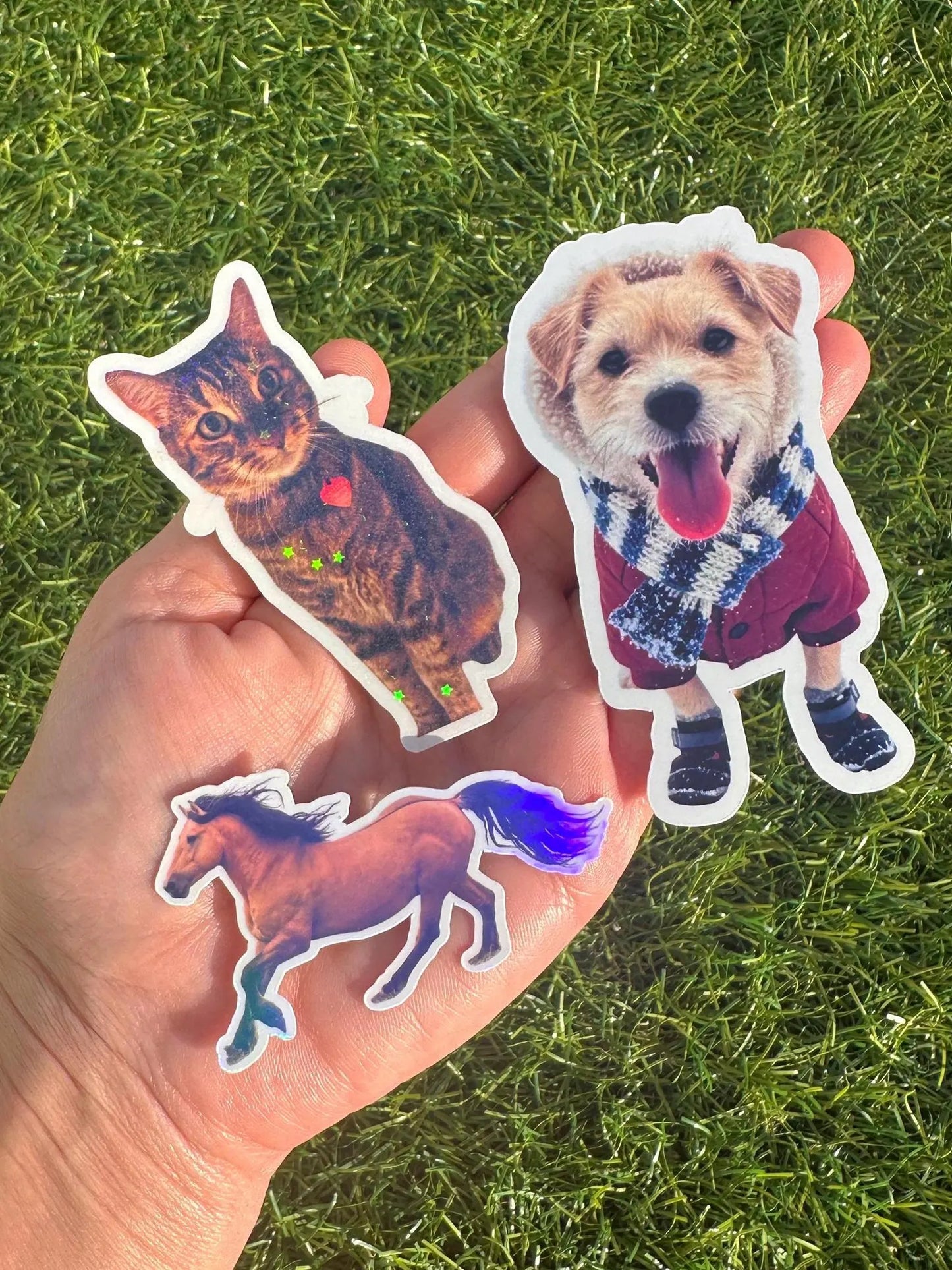 Custom Pet Photo Sticker | Personalized Animal Vinyl Decal for Laptop & Water Bottle