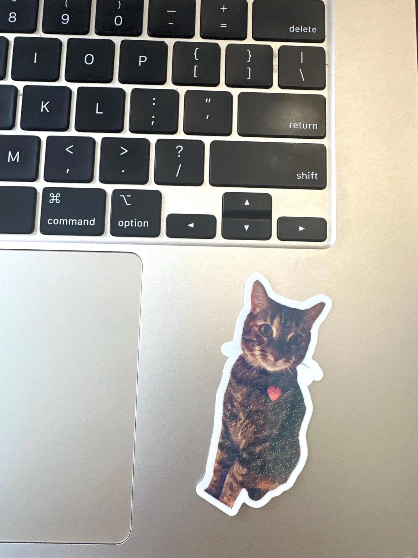 Custom Pet Photo Sticker | Personalized Animal Vinyl Decal for Laptop & Water Bottle