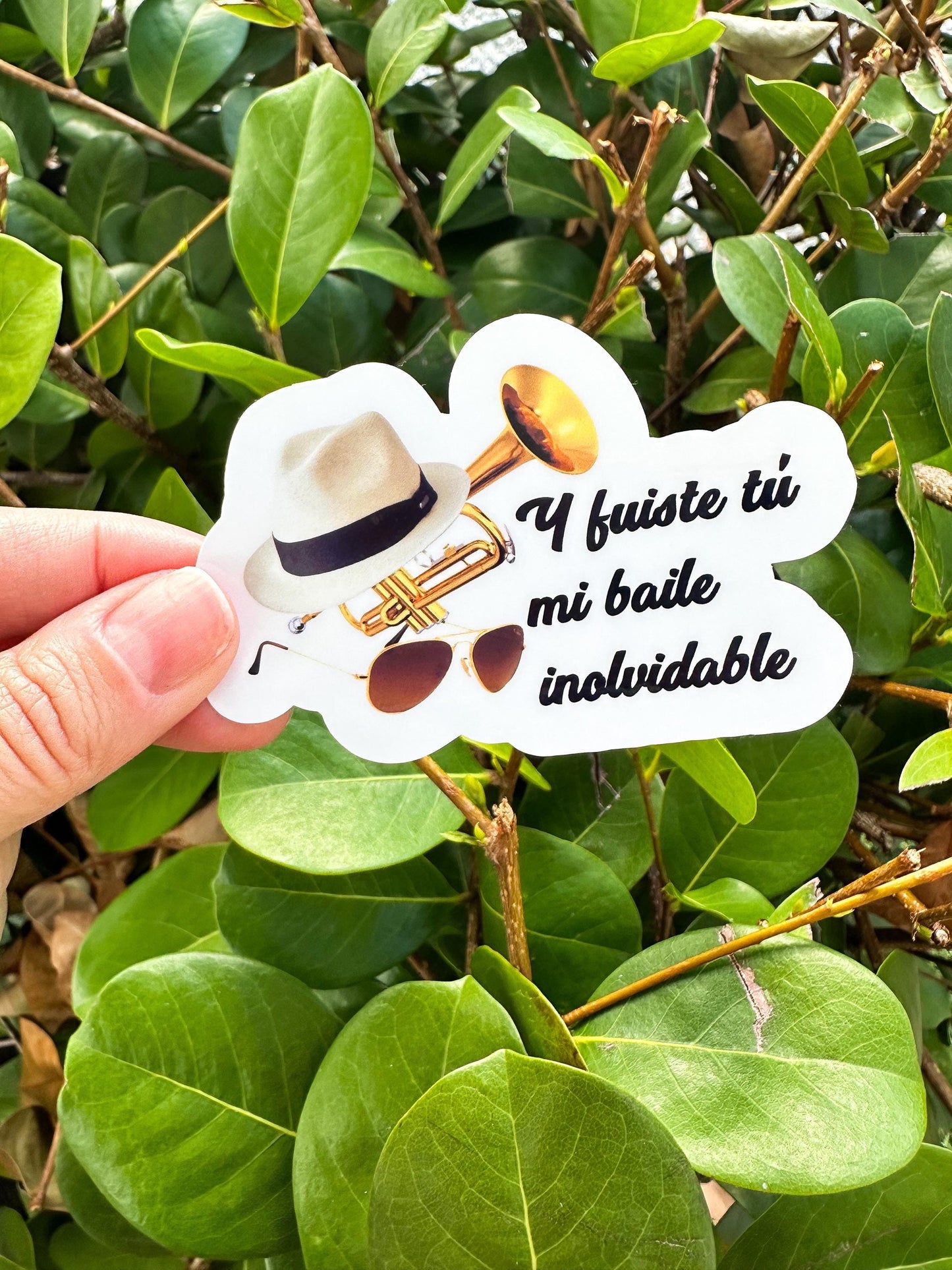 Debí Tirar Más Fotos Baile Inolvidable Sticker | B Bunny-Inspired DTMF Vinyl Decal for Laptop & Water Bottle