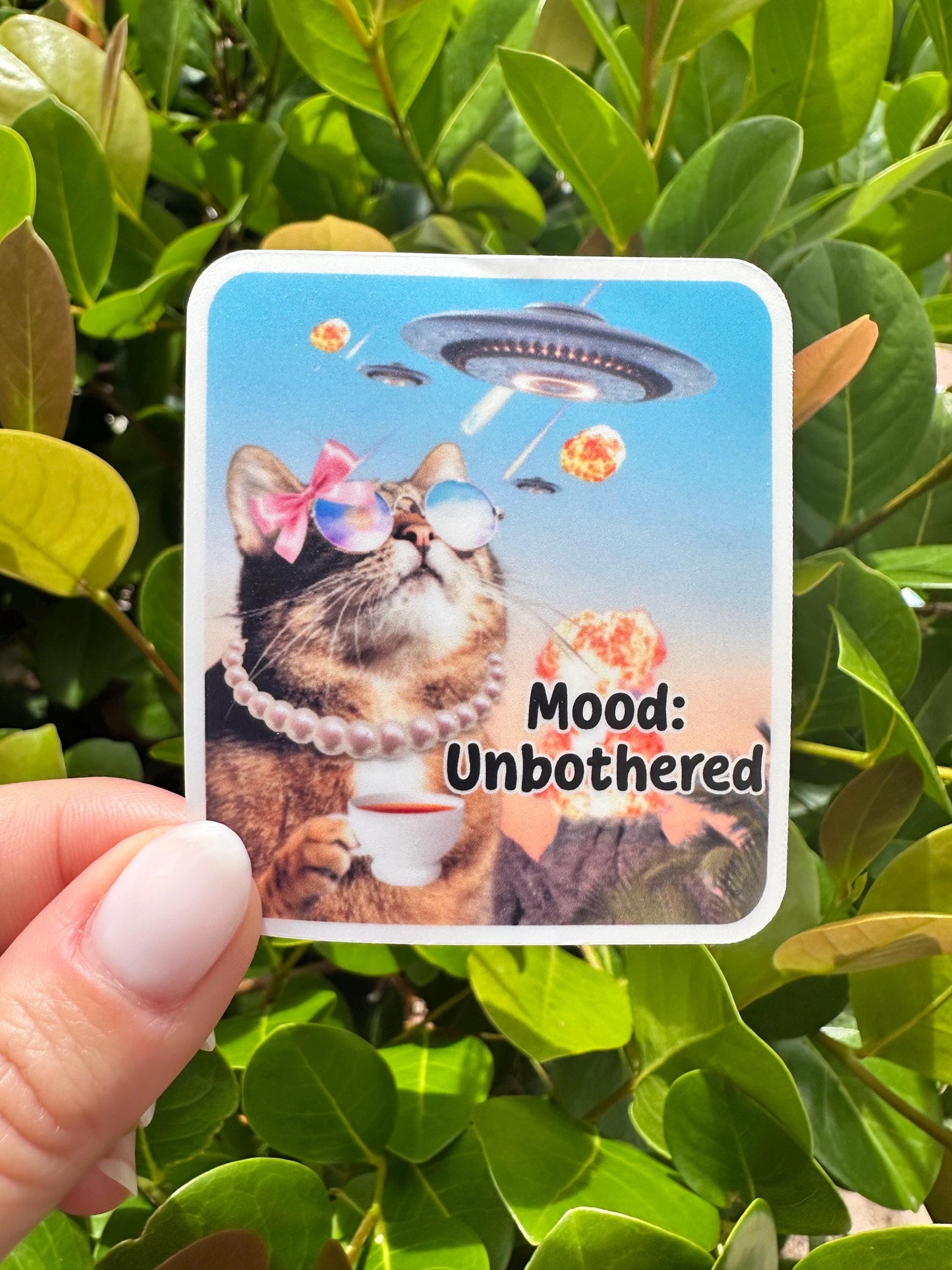Cat Mood Unbothered Sticker | Funny Cat Vinyl Decal for Laptop & Water Bottle