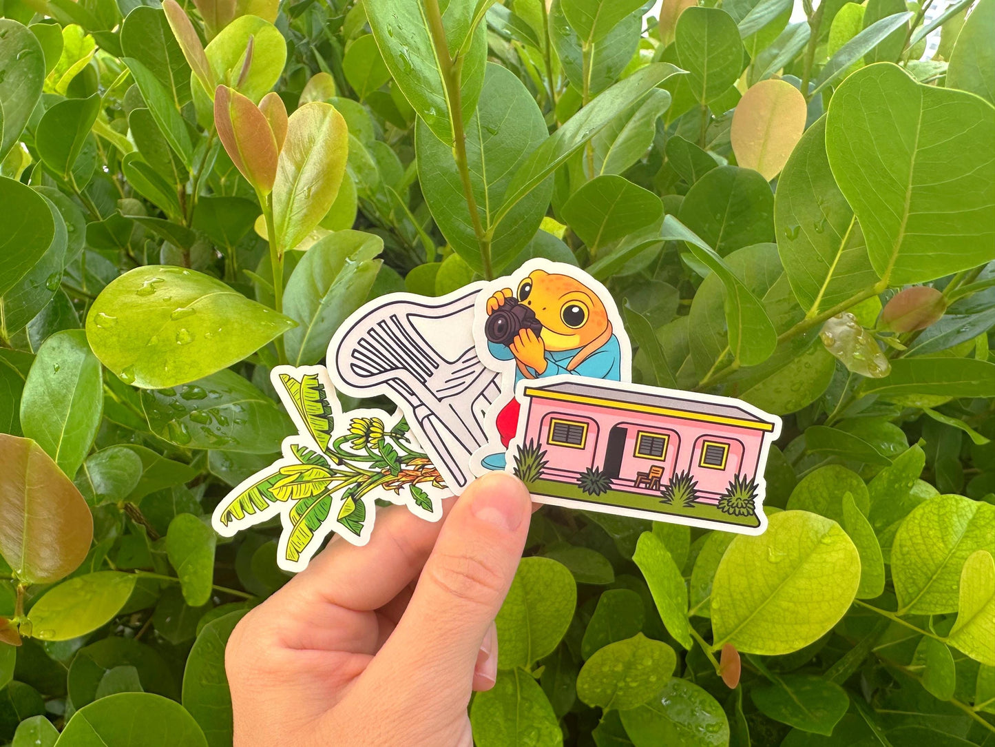 Debí Tirar Más Fotos Casita Puerto Rico Sticker Bundle | Bad Bunny-Inspired Puerto Rico Vinyl Decal for Laptop & Water Bottle