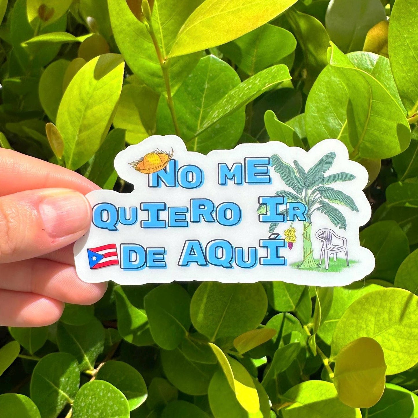 Debí Tirar Más Fotos No Me Quiero Ir De Aqui Sticker | Bad Bunny-Inspired Puerto Rico Vinyl Decal for Laptop & Water Bottle