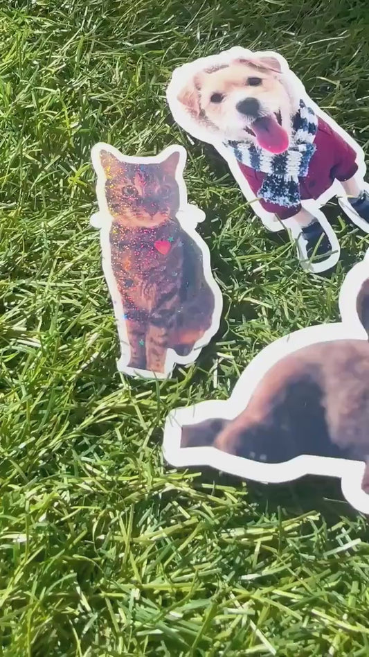 Custom Pet Photo Sticker | Personalized Animal Vinyl Decal for Laptop & Water Bottle